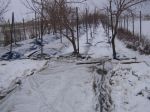 IMG_3780.JPG