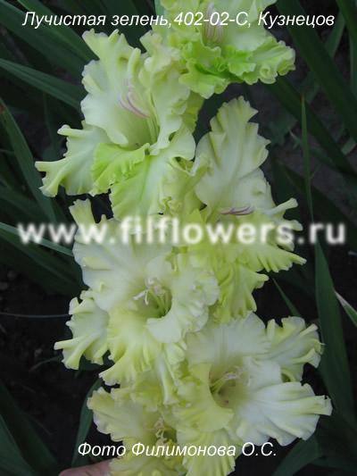 ����� ���� sylver