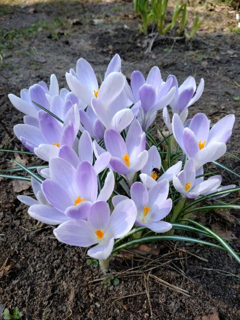 ����� ���� KatrinI