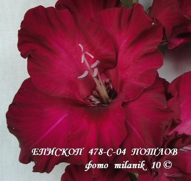 ����� ���� Milanik
